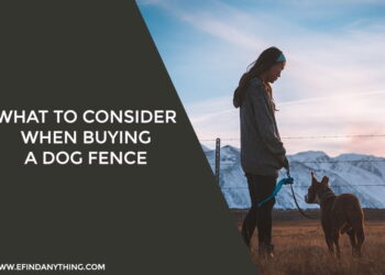 What to Consider When Buying a Dog Fence