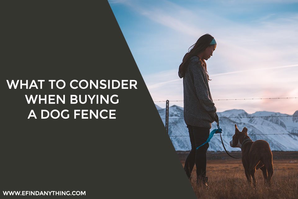 What to Consider When Buying a Dog Fence