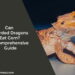 Can Bearded Dragons Eat Corn