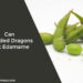 Can Bearded Dragons Eat Edamame