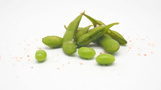Can Bearded Dragons Eat Edamame