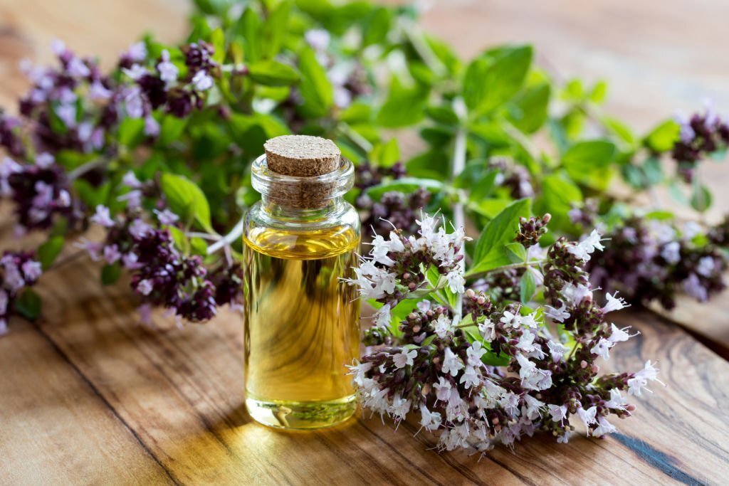 Black Seed Oil and Oregano Oil Benefits
