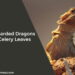 Can Bearded Dragons Eat Celery Leaves