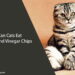 Can Cats Eat Salt and Vinegar Chips