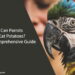 Can Parrots Eat Potatoes