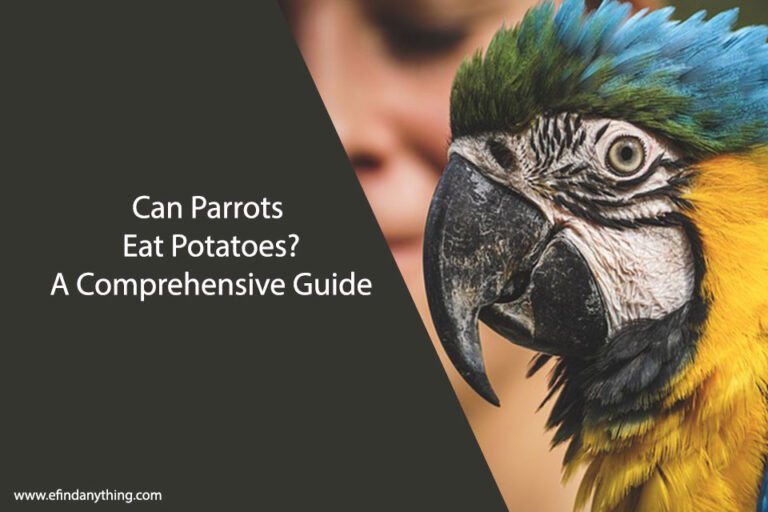 Can Parrots Eat Potatoes