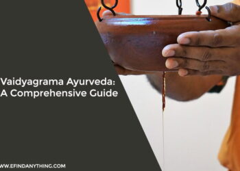 Vaidyagrama Ayurveda