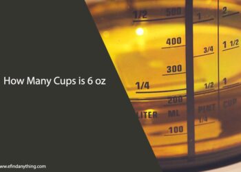 How Many Cups is 6 oz