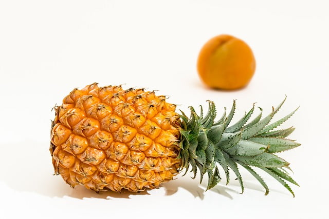 Can Bearded Dragons Eat Pineapple