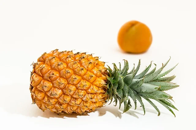 Can Bearded Dragons Eat Pineapple
