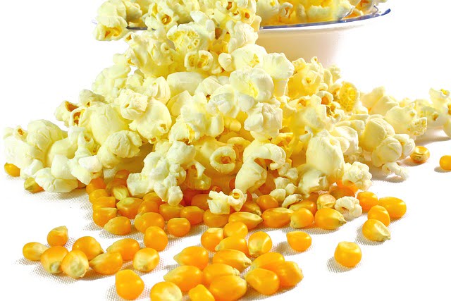 Can Turtles Eat Popcorn