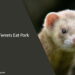 Can Ferrets Eat Pork