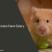 Can Hamsters Have Celery