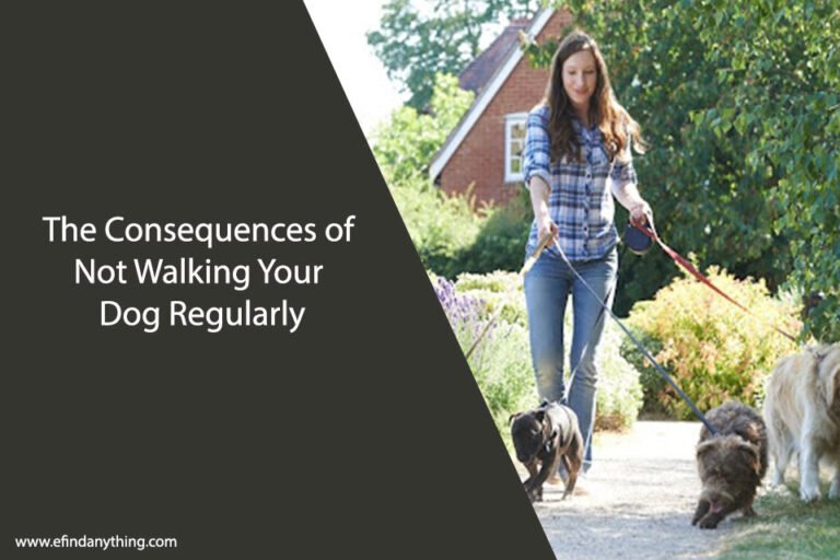 The Consequences of Not Walking Your Dog Regularly