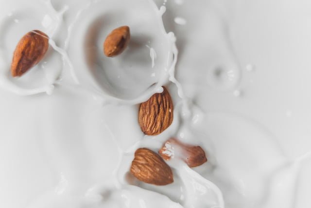 Can Baby Rabbits Drink Almond Milk
