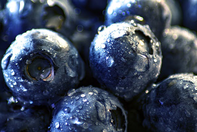 can ferrets eat blueberries