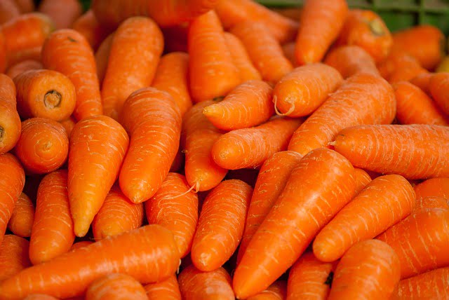 Can Ferrets Eat Carrots