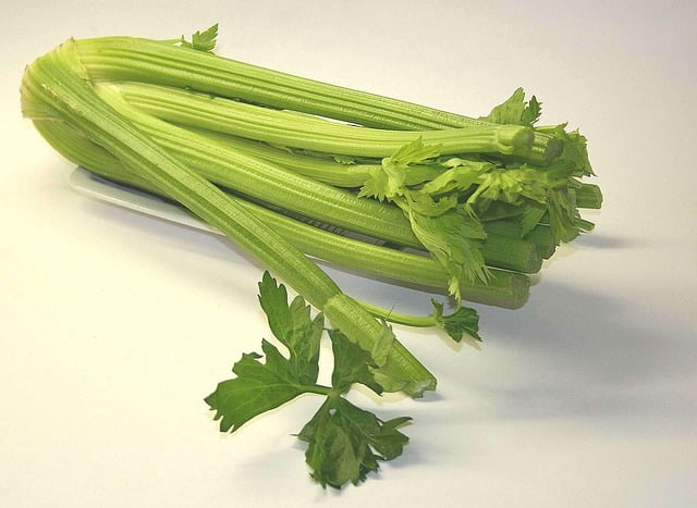 Can Hamsters Have Celery