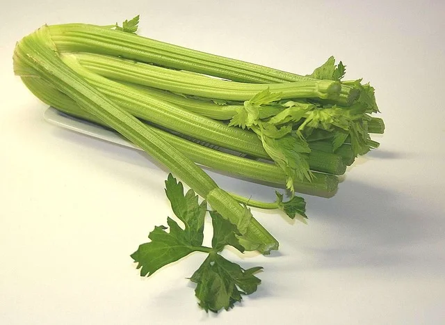 Can Hamsters Have Celery