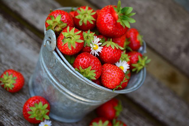 Can Ferrets Eat Strawberries