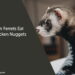 Can Ferrets Eat Chicken Nuggets