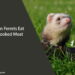 Can Ferrets Eat Cooked Meat