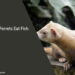 Can Ferrets Eat Fish