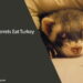Can Ferrets Eat Turkey