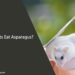 Can Rats Eat Asparagus