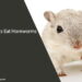 Can Rats Eat Hornworms