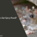 Can Rats Eat Spicy Food