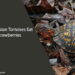Can Russian Tortoises Eat Strawberries