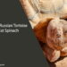 Can a Russian Tortoise Eat Spinach