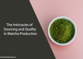 Matcha Production
