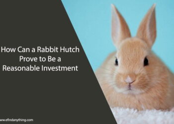 How Can a Rabbit Hutch Prove to Be a Reasonable Investment