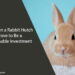 How Can a Rabbit Hutch Prove to Be a Reasonable Investment
