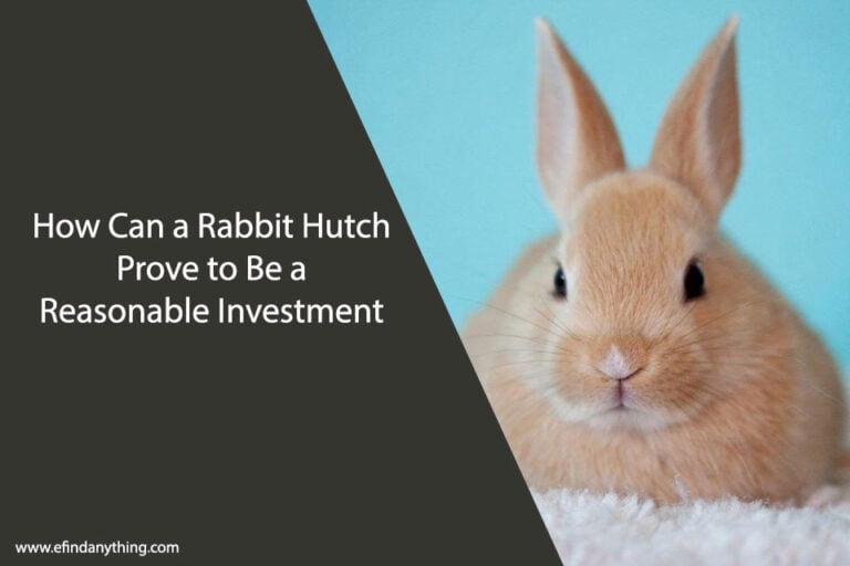 How Can a Rabbit Hutch Prove to Be a Reasonable Investment