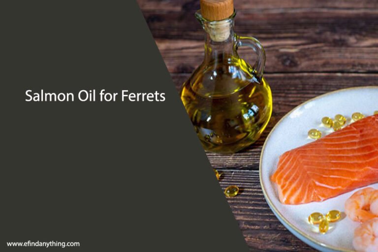 Salmon Oil for Ferrets