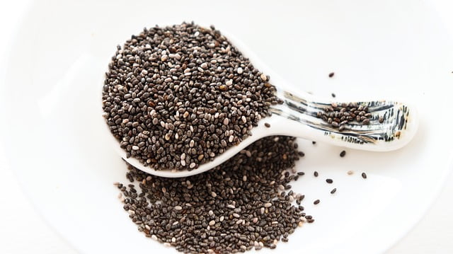 Can Rats Eat Chia Seeds