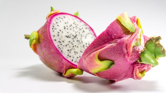 Can Rats Eat Dragon Fruit