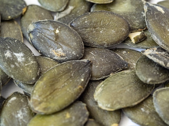 Can Rats Eat Raw Pumpkin Seeds