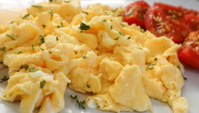 Can Ferrets Eat Scrambled Eggs