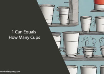 1 Can Equals How Many Cups