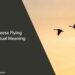2 Geese Flying Spiritual Meaning
