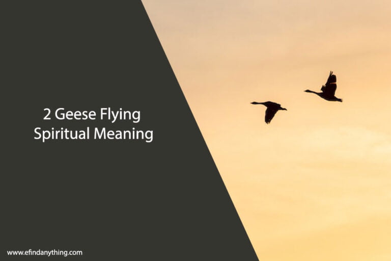 2 Geese Flying Spiritual Meaning
