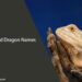 Bearded Dragon Names