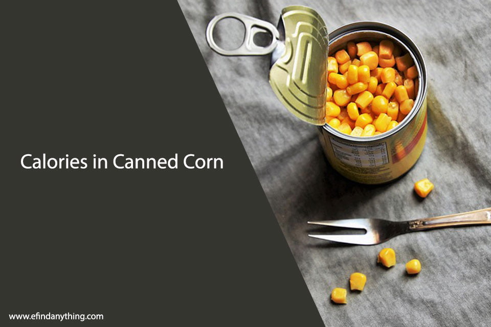 Calories in Canned Corn