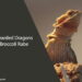 Can Bearded Dragons Eat Broccoli Rabe