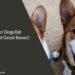 Can Dogs Eat Cooked Oxtail Bones