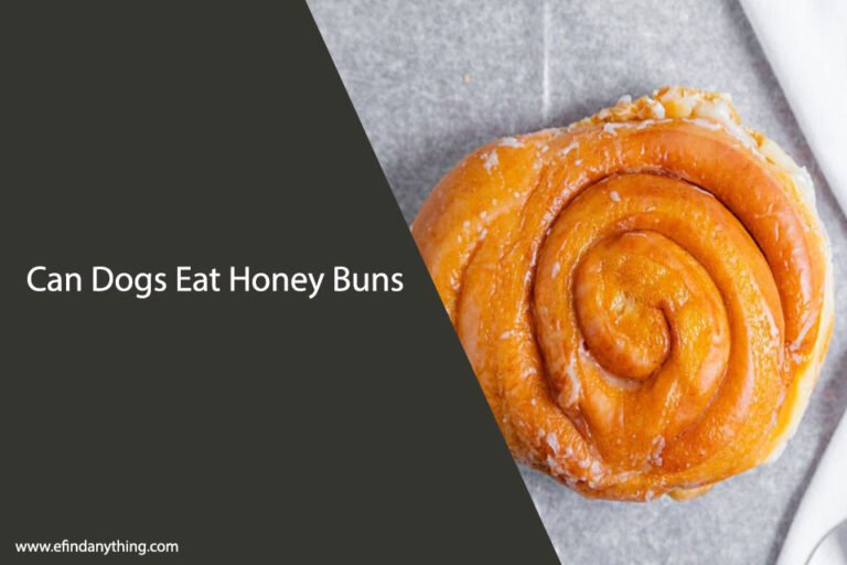Can Dogs Eat Honey Buns